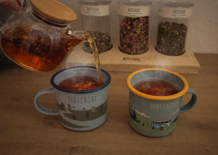 شقة Alpenchalet Vital نيوستيف ام ستوبيتا